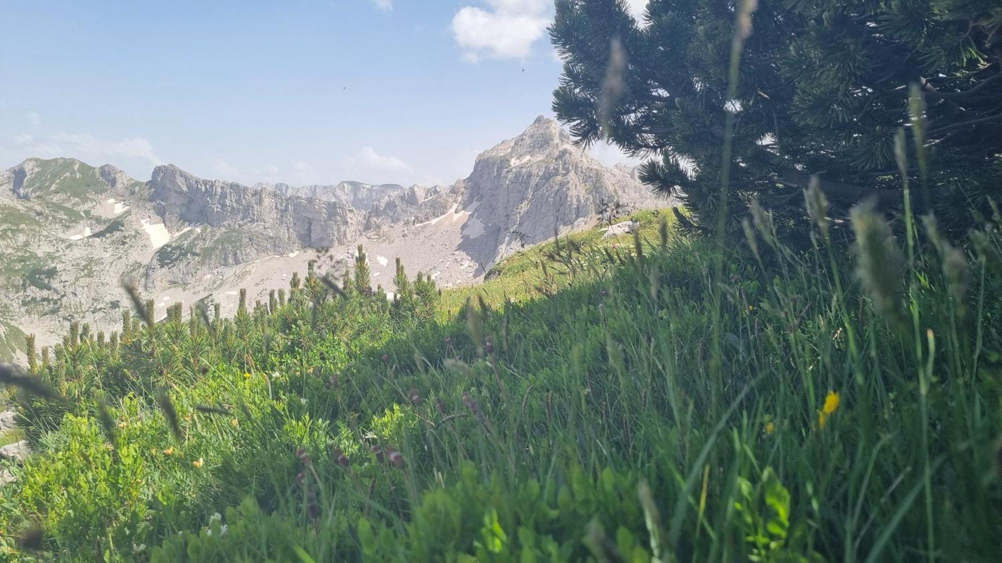 Durmitor Glamp Hotel Zabljak  Bagian luar foto